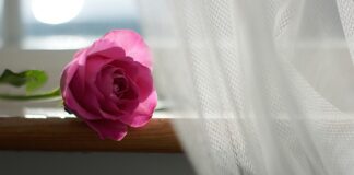 Co zrobić aby firanki były śnieżnobiałe?