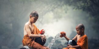 Ile sody do czyszczenia zmywarki?