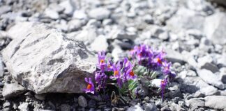 Co zrobić żeby nie śmierdziało w pralce?