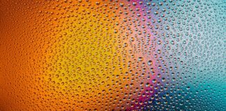 Czy można myć miski plastikowe w zmywarce?