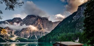 Co można uprawiać w domu zimą?