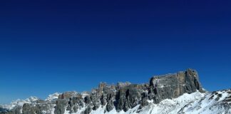 Jak zrobić nawóz do ziół?