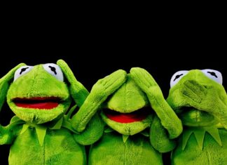 Co jedzą żaby rogate?