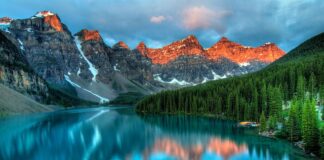 Jak usunąć kamień ze zmywarki?