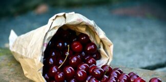 Jak daleko od drogi można zbierać zioła?