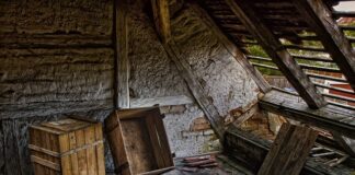 Kiedy najlepiej sadzić zioła w skrzynkach?