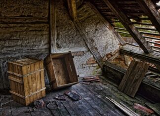 Kiedy najlepiej sadzić zioła w skrzynkach?