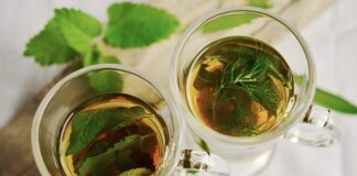 Jakie zioła nie potrzebują słońca?