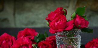 Kiedy otwiera się pojemnik na tabletkę w zmywarce?