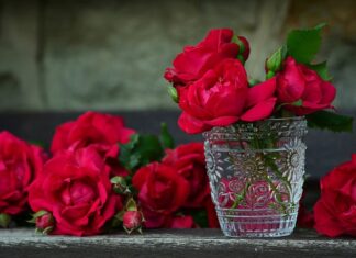 Kiedy otwiera się pojemnik na tabletkę w zmywarce?