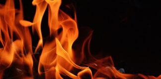 Czy można wędzić drewnem z korą?