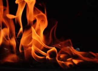 Czy można wędzić drewnem z korą? Czy można wędzić drewnem z korą?