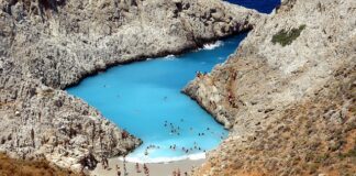 Jak się robi seitan?