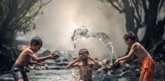 Jak często kąpać psa chihuahua?