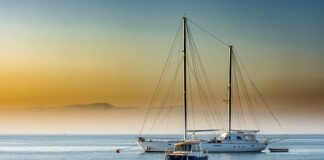 Czy mięso z indyka ma antybiotyki?