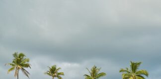 Gdzie posadzić zioła?