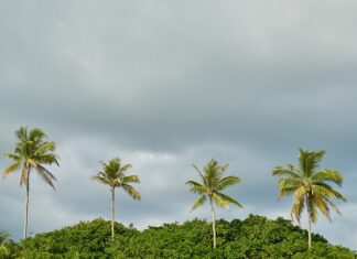 Gdzie posadzić zioła? Gdzie posadzić zioła?