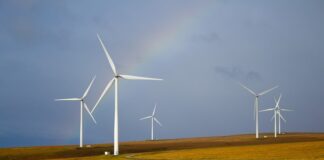 Jak zrobić domowy generator CO2?