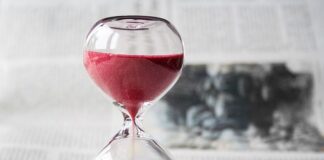 Jaki regulator temperatury do wędzarni?