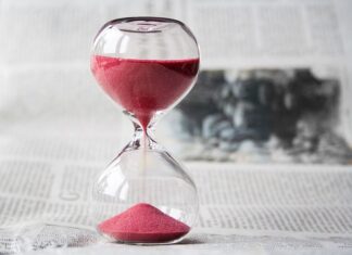 Jaki regulator temperatury do wędzarni?