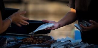 Czy można sprzedawać grzyby?