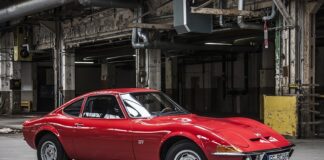 Jak się lata z psem?