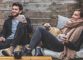 Co zrobić żeby pies nie biegał za samochodami?