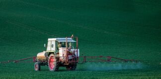 W jakich owocach jest najwięcej pestycydów?