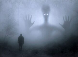 Czy w aptece można kupić lek na pasożyty?