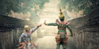 W jakich miejscach rosną kanie?