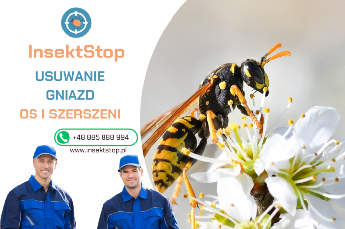 usuwanie gniazd os